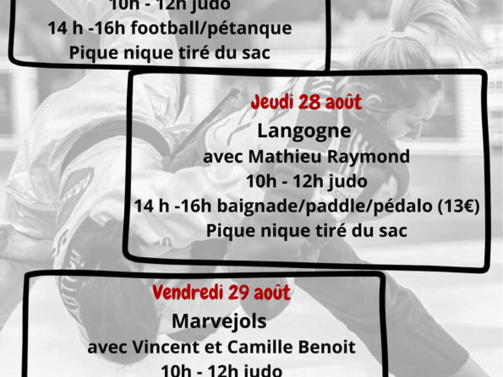 Image de l'actu 'Stage itinérant d'été !'